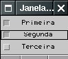 Checkboxes selecionados