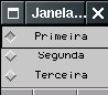 Janela com Checkboxes agrupadas