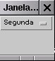 Janela com Choice - segunda opo