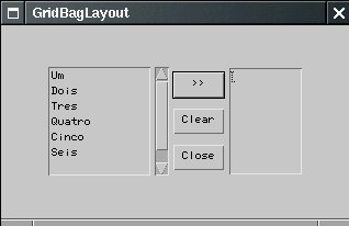 Janela com GridBagLayout