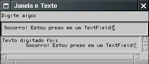 Janela com componentes de texto