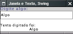 Janela com componentes de texto Swing