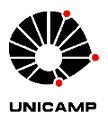 Unicamp