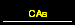 CAs