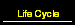 Life Cycle
