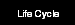 Life Cycle